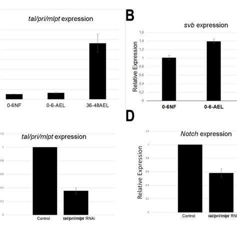 Temporal Expression Analysis And RNAi Downregulation Of Mlpt During R