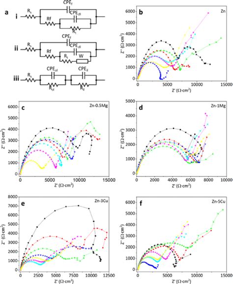 Electrochemical Impedance Spectroscopy EIS Evaluation In Hanks