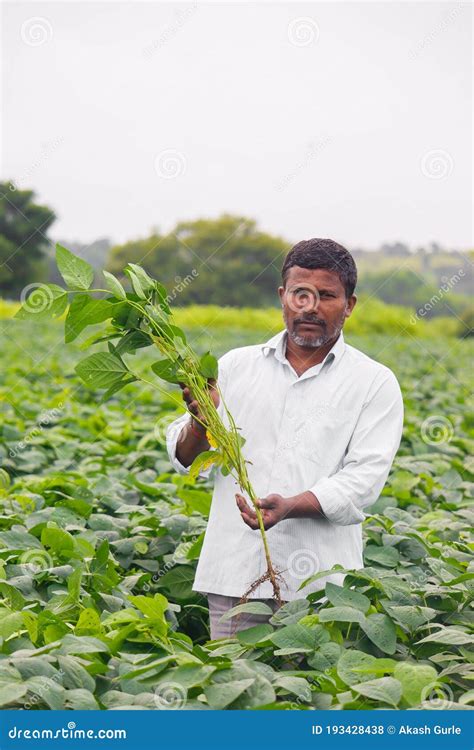 LATUR MAHARASHTRA INDIA 12 Aug 2020 Indian Farmer Standing In