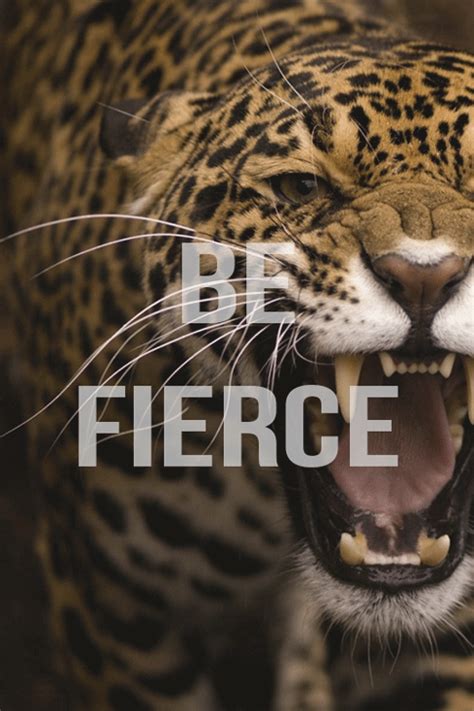 be fierce gifs | WiffleGif