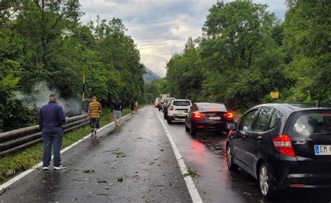 Maltempo Albero Cade Tra Maccagno E Zenna Rinviata L Inaugurazione