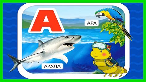 АЗБУКА С ЖИВОТНЫМИ 🦩 Зооазбука для малышей/ Веселый Алфавит Для Детей ...