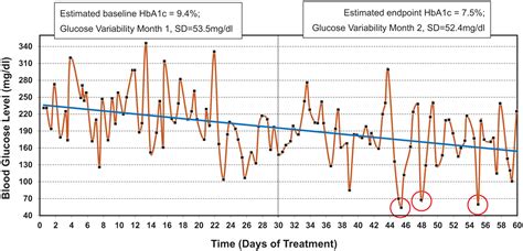 Glycemic Variability Risk Factors Assessment And Control Boris