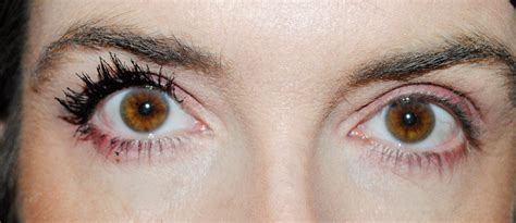 Too Faced Better Than Sex Waterproof Mascara Review