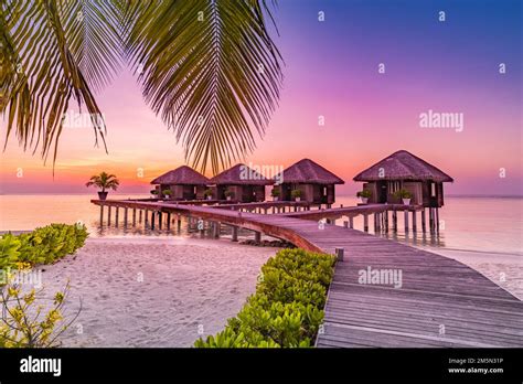 Maldives island sunset panorama. Water bungalows resort at islands ...