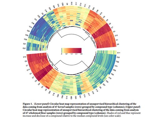 How To Plot A Circular Clustered Heatmap With Dendrogram