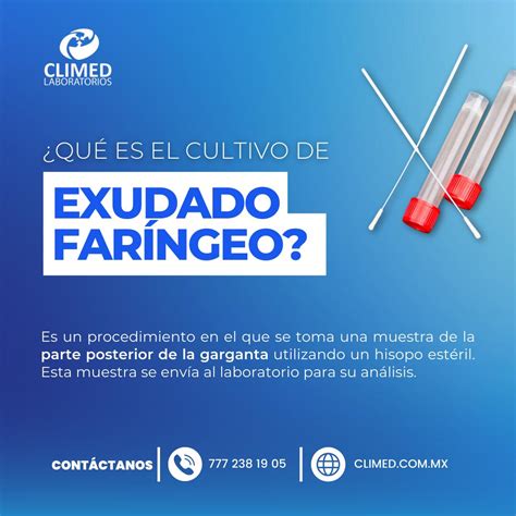 ¿qué Es El Cultivo De Exudado Climed Laboratorios