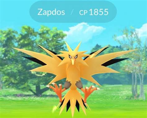 Pokemon Go Zapdos Day Raid Tips To Get A Shiny Zapdos With