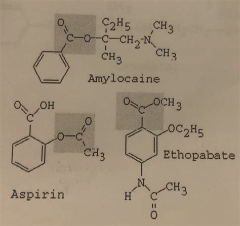 Solved Identify The Highlighted Functional Groups In The Chegg