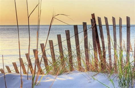 Dune Fence On The Beach At Sunset Photograph By Elizabeth Spencer