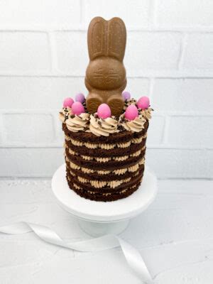 OSTER NAKED CAKE GANACHEKATZE