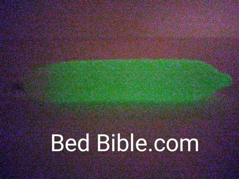 DIY Sex Toys How To Make An Ice Dildo In Easy Steps Bedbible