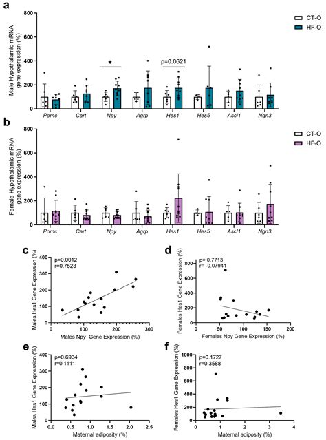 Nutrients Free Full Text Sex Dependent Variations In Hypothalamic