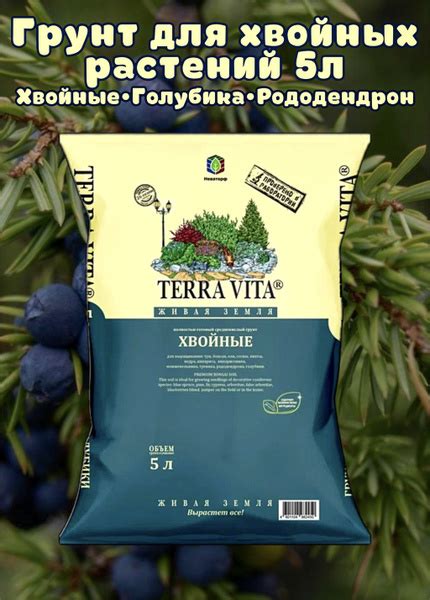 Грунт для хвойных растений, рассады Terra Vita, Живая земля 5л - купить ...