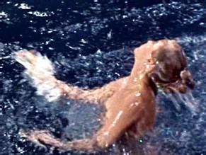 FORBIDDEN PLANET NUDE SCENES AZNude