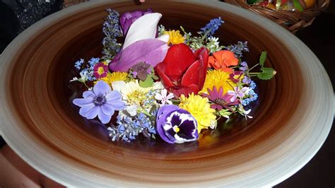 Gay Par Iz Hrvatske O LGBT Roditeljstvu Ne Odustajte I Budite Strpljivi LGBTI Ba