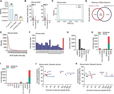 Sequencing Of N6 Methyl Deoxyadenosine At Single Base Resolution Across