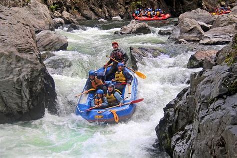 Half Day Grade 5 White Water Rafting On The Rangitikei River Trip