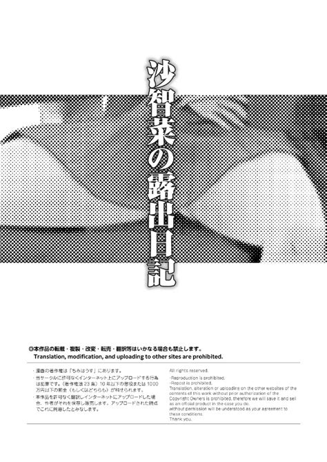 Sachina No Roshutsu Nikki Page Nhentai Hentai Doujinshi And Manga