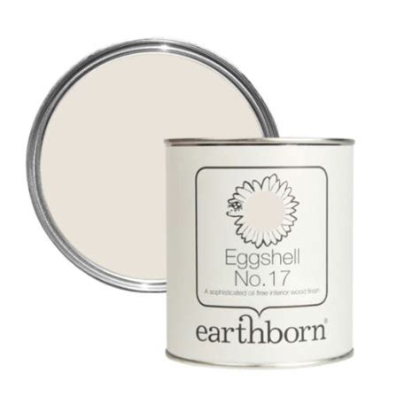 Earthborn Eggshell Paint No 17 Toms Bakery