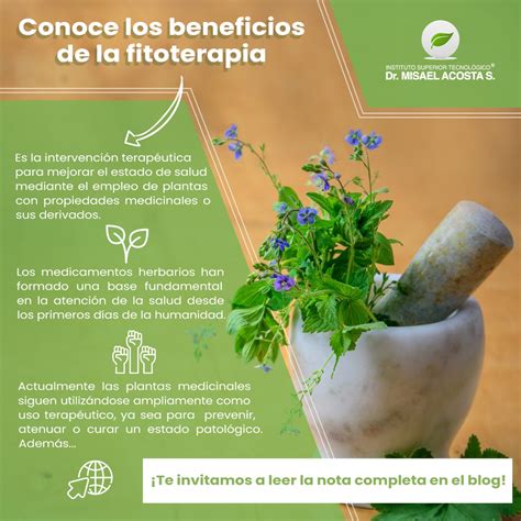 Beneficios De La Fitoterapia Instituto Universitario Misael Acosta