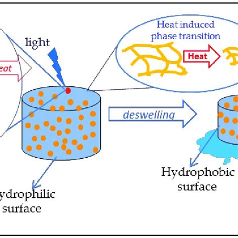 Scheme 6 Mechanism Of Photothermal Actuation Using Alternating