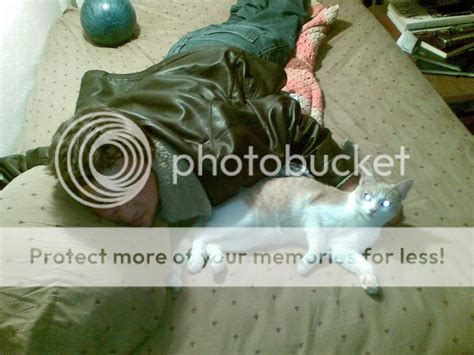 Midget Porn Gay Tokyovamet