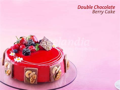 Double Chocolate Berry Cake Zeelandia