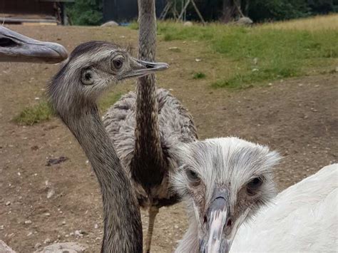 Gasthof Taubenberg – Aussichtsturm Taubenberg Runde von Oberwarngau ...