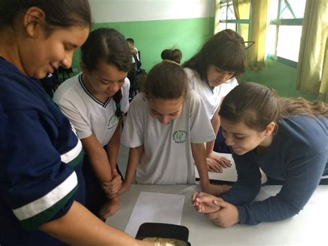 Colégio Pestalozzi Osasco Escola Pestalozzi Ensino Interativo