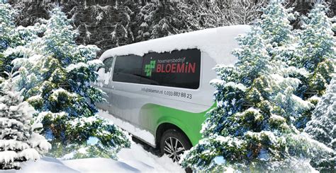 Kerstbomen Bloemin Hovenier