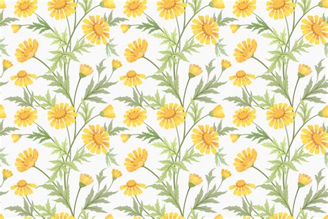 Beautiful Yellow Daisy Flowers Pattern Graphic By Ranger262 · Creative