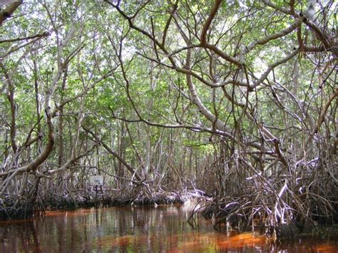 Conoce El R O Rojo De Celest N Maravilla Natural Descubro