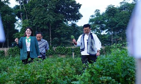 Kunjungi Cikalong Watan Ini Pesan Mentan Syl Agar Petani Milenial