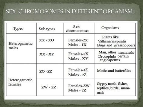 Sex Determination PPTX