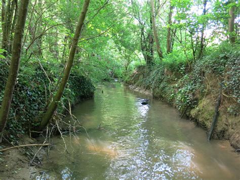 L'Ozon - Fédération de pêche du Rhône