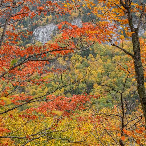 Colorado Fall Colors 2022