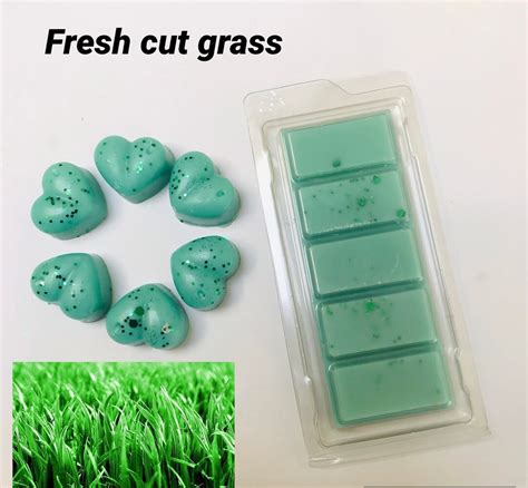 Fresh Cut Grass Wax Melts Highly Scented Etsy Uk