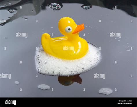 Rubber Duck On Water Stock Photo Alamy