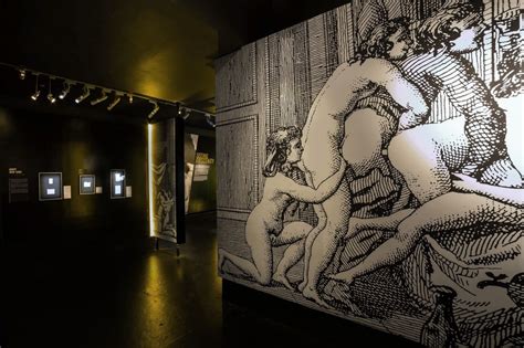 All Of The Genitals In The Sex Museum Are White The Fader