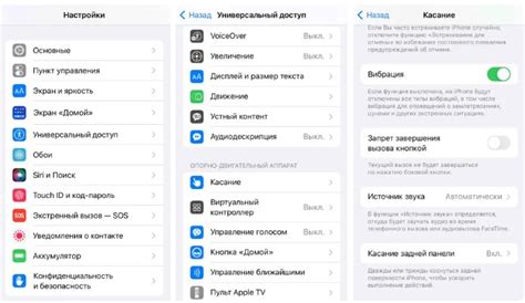 Секретная кнопка iPhone - как включить касание задней панели ...