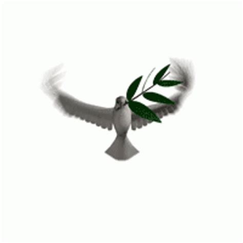 Dove Bird GIF - Dove Bird Flapping Wings - Discover & Share GIFs