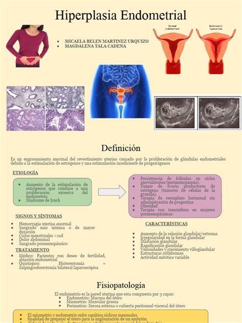 Hiperplasia Endometrial Têm Cura - Tratamiento de Hiperplasia Endometrial | PDF | Causas de la muerte ...