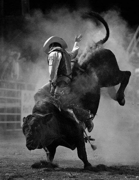 bull riding on Tumblr