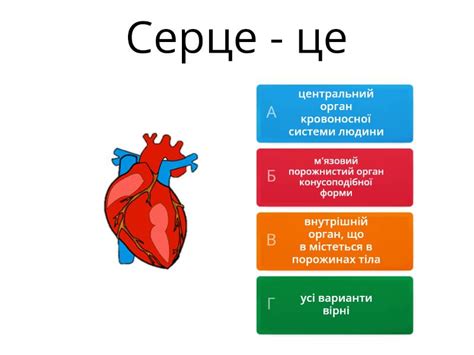 Біология: Органи кровообігу. Серце - Вікторина