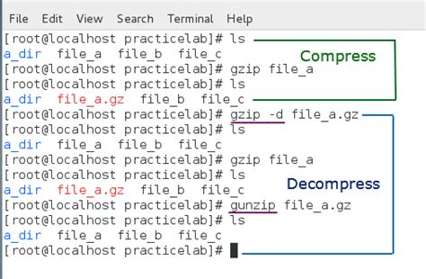 How To Use Gzip And Bzip2 Linux Commands Explained