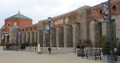 3 Amazing Aquariums In Ohio Bonus Must Visit Location