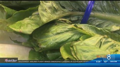 1st Death Reported In Romaine Lettuce E Coli Outbreak From California
