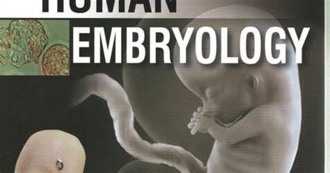 Inderbir Singhs Human Embryology 11th Edition No Cost Library No