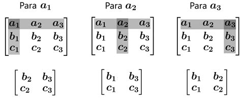 Determinante De Una Matriz 3x3 Ejercicios Resueltos